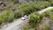 Pickup Truck Driving on Caribbean Island