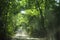 Pickup truck running pass rural road of tropical green forest.