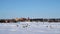 Pickup Trucks Drive on Frozen Lake Bemidji