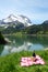 Picnic in Alpine meadow