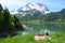 Picnic in Alpine meadow