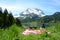 Picnic in Alpine meadow. Switzer