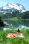 Picnic in Alpine meadow. Switzerland