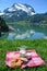 Picnic in an Alpine meadow, Switzerland