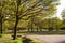 Picnic area in Abbots Wood, East Sussex, England