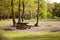 Picnic area in Abbots Wood, East Sussex, England