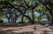 Picnic area at Crews Lake Wilderness park