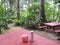 A picnic area at Makiling botanical gardens, Philippines