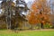 Picnic area in park with tables and burn barrel