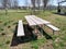 Picnic Area in a Public Park, Rutherford, NJ, USA