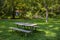 A picnic area in te woods