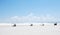 Picnic Area in White Sands National Park, New Mexico