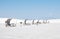 Picnic Area in White Sands National Park, New Mexico