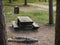 Picnic area with wooden table and bench and fire pit for barbecue framed by a two tree trunks. Litter bin and rubbish on the