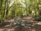 Picnic area in the woods of Prati d& x27;Angro, in Abruzzo.  Feeling cool in the shade of the trees.