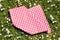 Picnic background. Folded red checkered picnic cloth on a daisy meadow. Topview