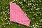 Picnic background. Red checkered picnic cloth on a daisy meadow. Topview