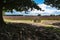 Picnic bank with views over the heathlands