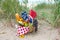 Picnic basket in beach sand