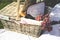 Picnic basket, blanket, wine glass and grapes