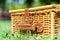 Picnic Basket Hamper With Leather Handle In Grass