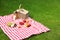 Picnic basket with products and bottle of  on checkered blanket in garden