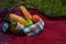 Picnic basket on the red blanket at nature. Apples, white wine a