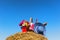 Picnic basket and summer hat in agriculture landscape