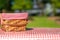 Picnic basket on a table with a red tablecloth. Summer mood. relaxation. holidays