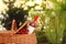 Picnic basket with wine, strawberries and flowers on blurred background