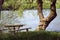 Picnic bench by river