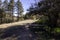 A picnic bench in the woods next to a dirt walking path in Arizona, USA