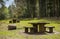 Picnic Benches in a clearing in the woods