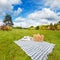 Picnic blanket & basket in sunny field