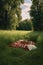 a picnic blanket spread out in a lush green field