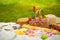 Picnic, camping basket, wine, glasses and fruits, family picnic background with space. Summer and mood. Weekend and vacation,