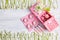 Picnic card with table setting and snowdrops, silverware, pink white checked napkin