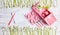 Picnic card with table setting and snowdrops, silverware, pink white checked napkin