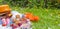 Picnic in the celebration of the king`s day. Lunch in the garden. Basket for a picnic, Fruits and pastries. Orange hat. Spring in