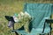 A picnic chair stands on a light-flooded meadow. In the stand is a plastic bottle of water and a bouquet of camomile flowers.