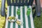 Picnic composition in green shades of sunbed with white and green striped mattress, cooler with straws, sandwich and fruit