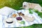 Picnic with Dog Golden Retriever Labrador Family Instagram Style Food Fruit Bakery Berries
