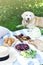 Picnic with Dog Golden Retriever Labrador Family Instagram Style Food Fruit Bakery Berries