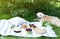 Picnic with Dog Golden Retriever Labrador Family Instagram Style Food Fruit Bakery Berries