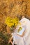 Picnic in the field near straw bales. The setting sun. Rustic style - wood chair, plaid, bouquet of flowers, mirror