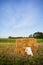 Picnic in the field near straw bales. The setting sun. Rustic style - wood chair, plaid, bouquet of flowers, mirror. Romantic date