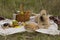 Picnic on the grass. Wicker basket with milk, grapes and bread on a blanket.Nearby is a dog and various items