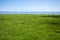 Picnic grounds in grassy field at the ocean