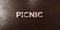 Picnic - grungy wooden headline on Maple - 3D rendered royalty free stock image
