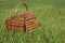 Picnic hamper in green grass